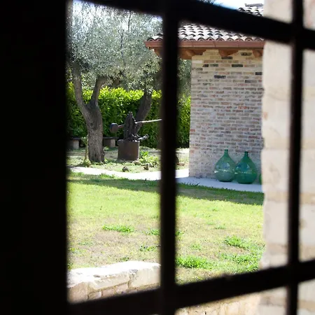 Ersilia-dimora Tra Vigne E Ulivi