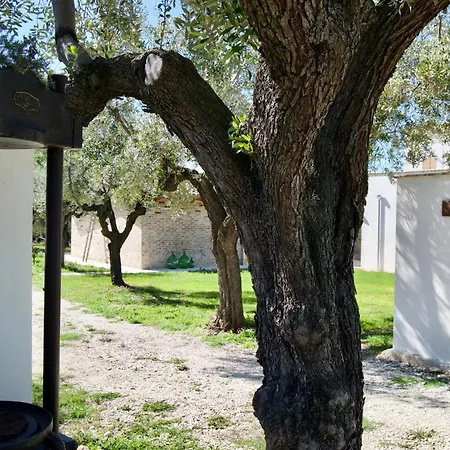Ersilia-dimora Tra Vigne E Ulivi Semesterbostad Ortona